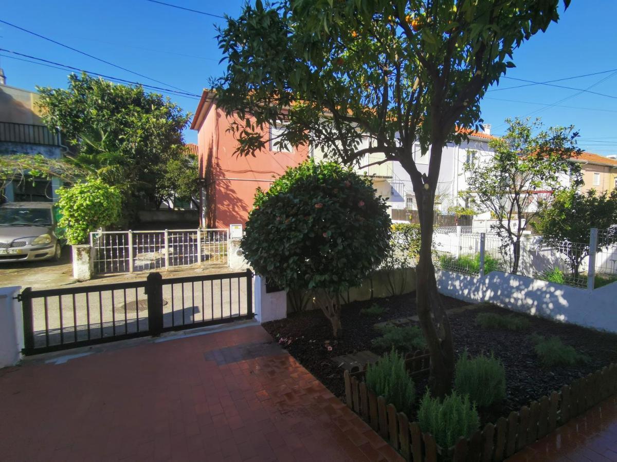 Villa Coimbra - Casa Inteira Buitenkant foto