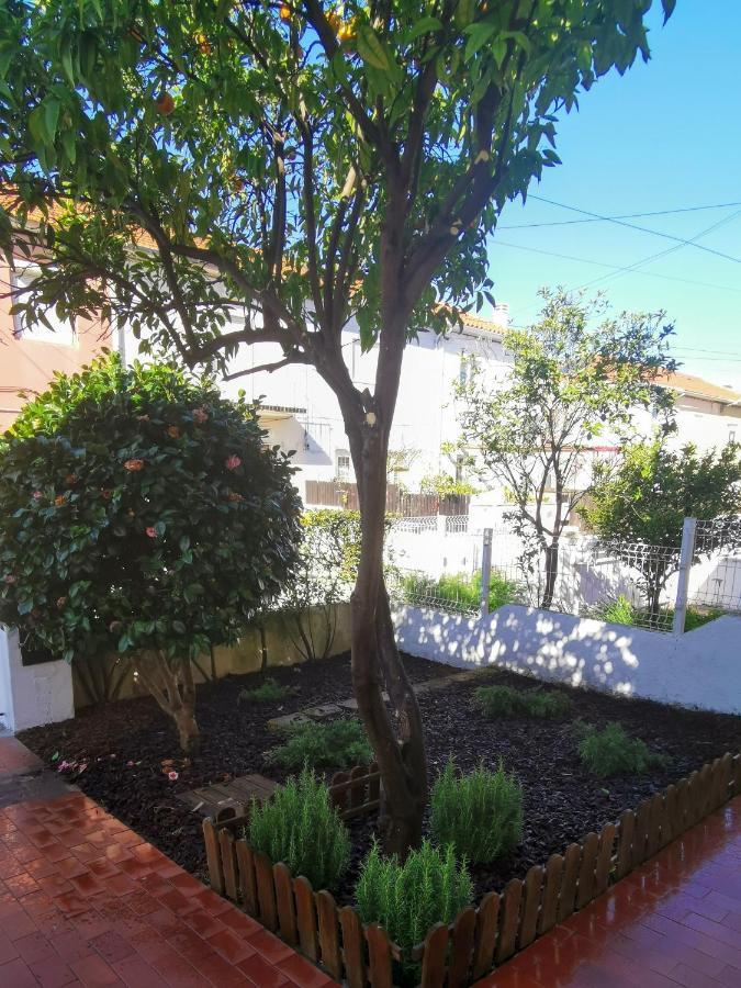 Villa Coimbra - Casa Inteira Buitenkant foto